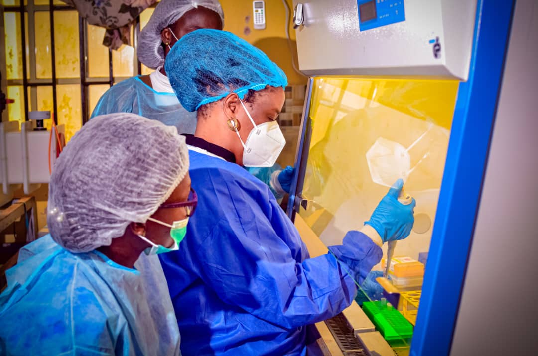 Team pipetting samples inside the biosafety cabinet