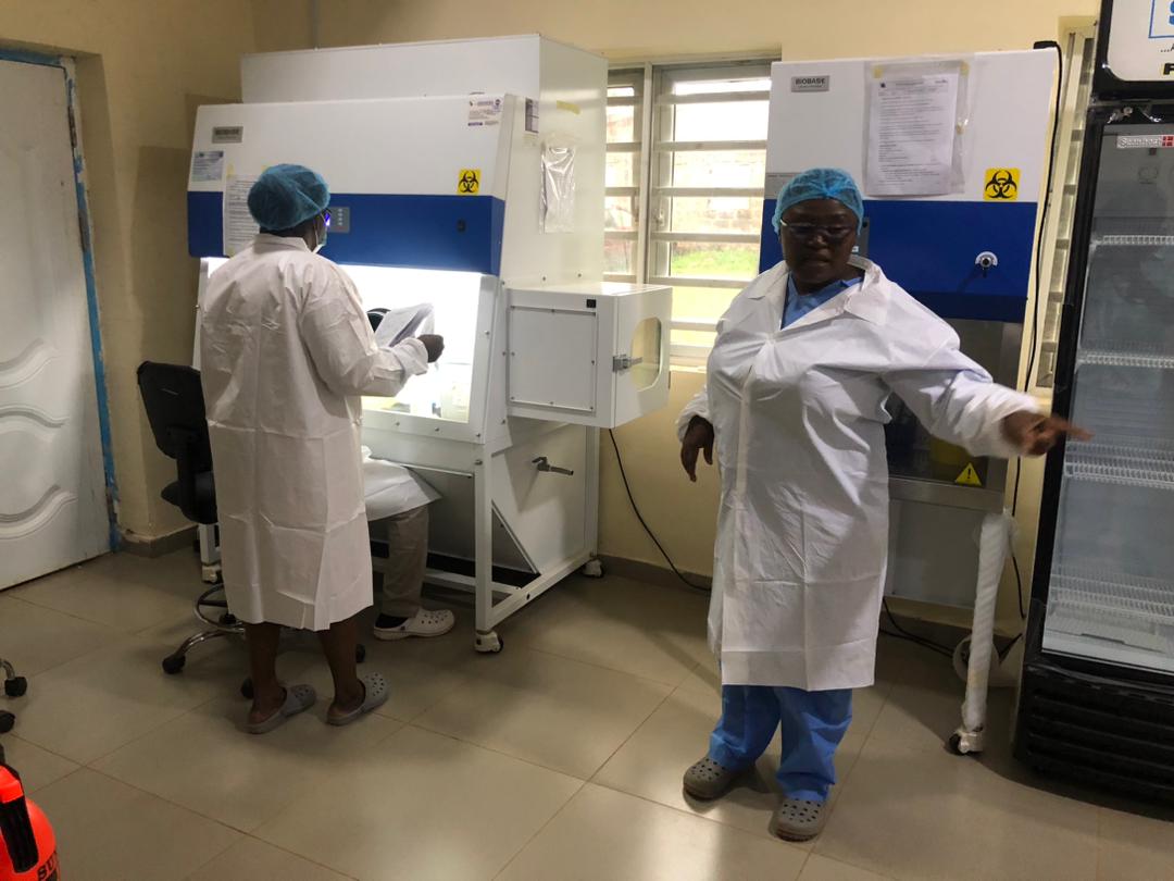 Scientists working inside biosafety cabinets in the molecular laboratory