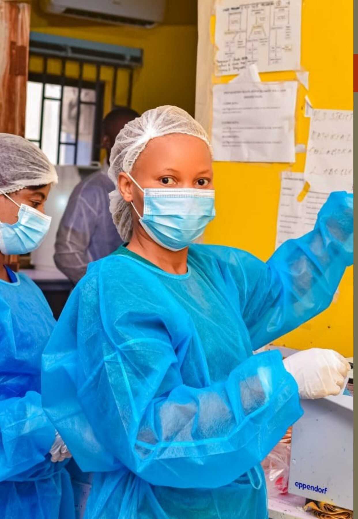 Laboratory personnel at work